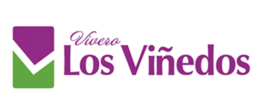 Los Viñedos — cliente de Altamira360